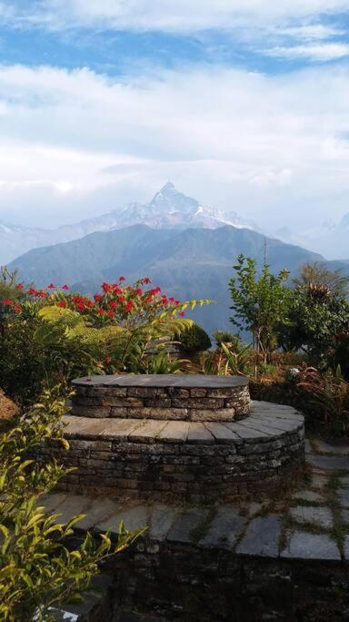פוקהרה Annapurna Eco Village מראה חיצוני תמונה